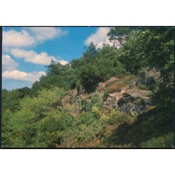 Bornholm - Kodalen i Paradisbakkerne - Colbergs Bogh. 8754