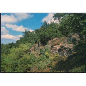 Bornholm - Kodalen i Paradisbakkerne - Colbergs Bogh. 8754