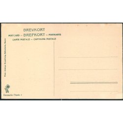 Panserskibet Herluf Trolle - Peter Alstrup 3