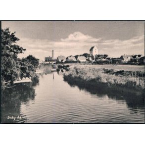 Sæby Aa - Krølle 16169