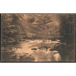 S&aelig;bygaard Skov - P. Hansen u/n