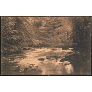 Sæbygaard Skov - P. Hansen u/n