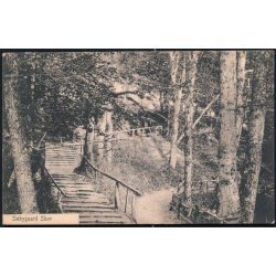 S&aelig;bygaard Skov - Peter Alstrup 2260