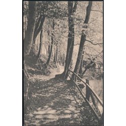 Parti fra S&aelig;bygaard Skov - Knudstrup u/n