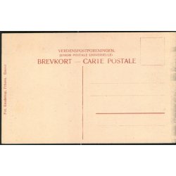 Parti fra S&aelig;bygaard Skov - Knudstrup u/n