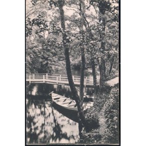 Sæby - I Sæbygaard Skov - Stender 13192