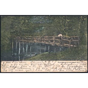 Sæby - Hummelbroen i Sæbygaard Skov - Peter Alstrup 2259