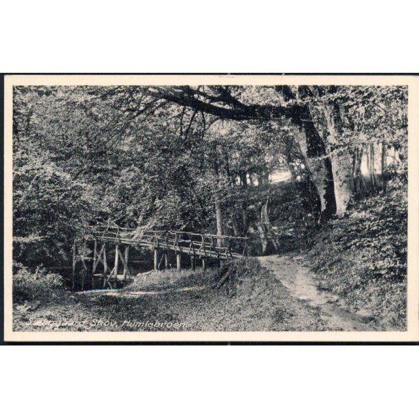 S&aelig;bygaard Skov - Hummelbroen - S&aelig;by Bogh. 7643