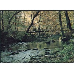 Hummelbroen over &aring;en i S&aelig;byg&aring;rds Skov - S&aelig;by Bogtryk 114