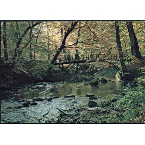 Hummelbroen over åen i Sæbygårds Skov - Sæby Bogtryk 114