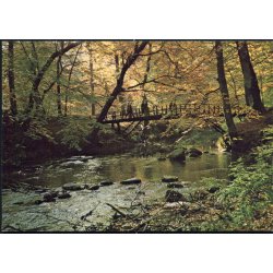 Parti fra S&aelig;by Skov og AA - Herluf Hansen u/n