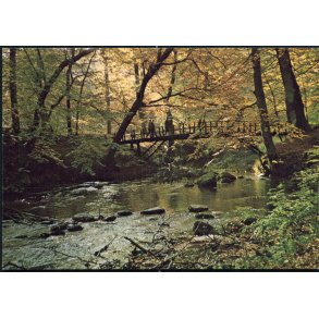 Parti fra Sæby Skov og AA - Herluf Hansen u/n