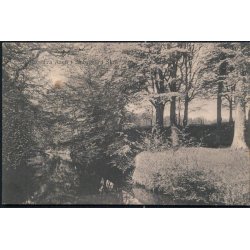 Fra Aaen i S&aelig;bygaard Skov - Knudstrup u/n