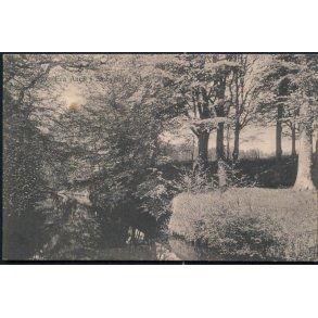 Fra Aaen i Sæbygaard Skov - Knudstrup u/n