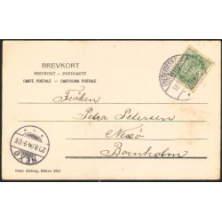 Parti fra S&aelig;bygaard Skov - Peter Alstrup 2253