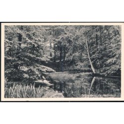 S&aelig;by - Parti fra Skoven - S&aelig;by Bogh. 7642