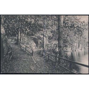 Sæby - Parti fra Skoven - Knudstrup u/n