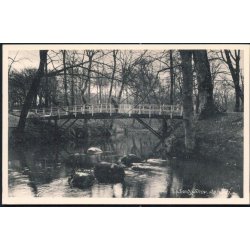 S&aelig;by Skov - Aaparti - S&aelig;by Bogh. 5379