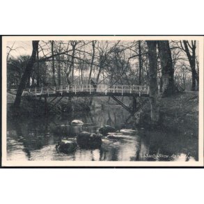 Sæby Skov - Aaparti - Sæby Bogh. 5379