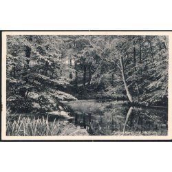 S&aelig;by - Parti fra Skoven - S&aelig;by Bogh. 7642