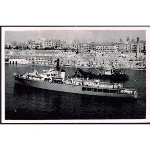 Graf Spell - Wright&Logan 6164