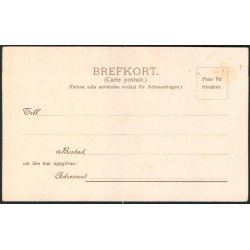 Japanska Torpedob&aring;ter - Zesarewitsch - C. Gleerup u/n