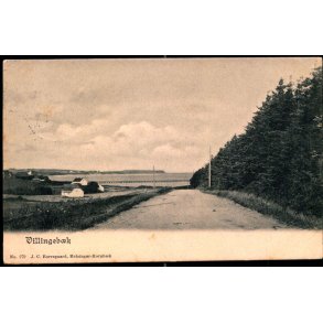 Villingeb�k - J.C. Borregaard 279