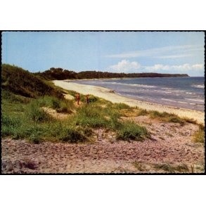 Strandparti - Dronningm�lle - Hj�rnekiosken 101 190