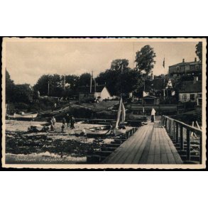 Strandparti i Aalsgaarde - Helleb&aelig;k - Helleb&aelig;k Bogh. 6980