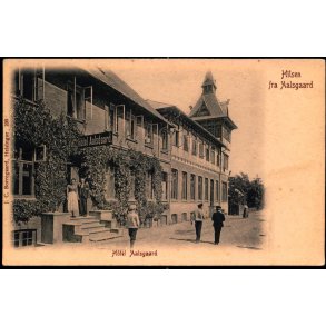 Hilsen fra Aalsgaard - Hotel Aalsgaard - J.C. Borregaard 209