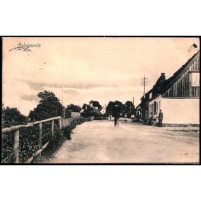 Aalsgaarde - Peter Alstrup 5320