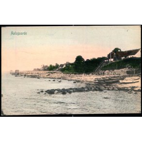 Aalsgaarde - Peter Alstrup 5316