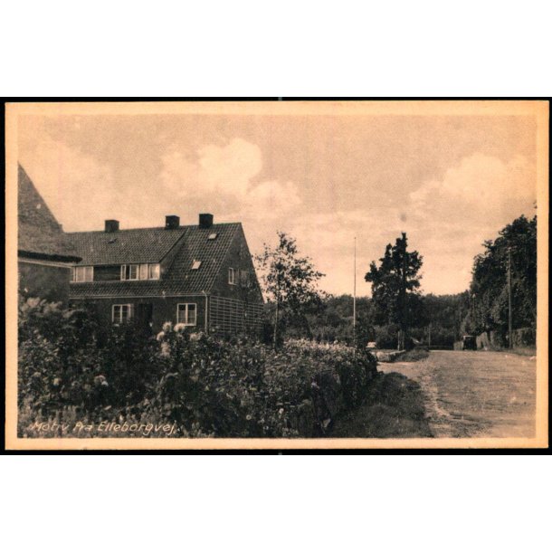 Motiv fra Elleborgvej - Helleb&aelig;k Bogh. 1952