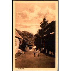 Helleb&aelig;k - Alex Vincent 300