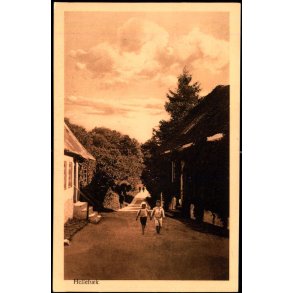 Helleb&aelig;k - Alex Vincent 300