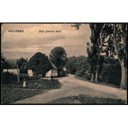 Helleb&aelig;k - "Det gr&oslash;nne Hus" - Peter Alstrup 5307