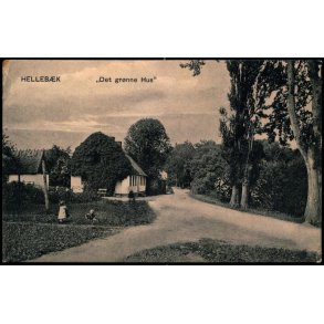 Helleb&aelig;k - 