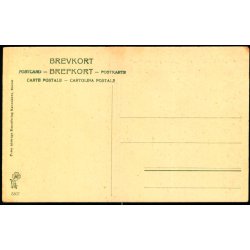 Helleb&aelig;k - "Det gr&oslash;nne Hus" - Peter Alstrup 5307