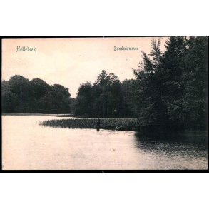 Helleb&aelig;k - Bondedammen - Peter Alstrup 875