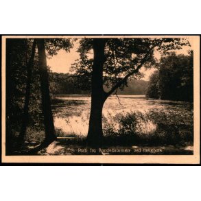 Parti fra Bondedammen ved Helleb&aelig;k - Helleb&aelig;k Bogh. 56893