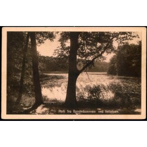 Parti fra Bondedammen ved Helleb&aelig;k - Helleb&aelig;k Bogh. 56893