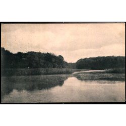 Bondedammen - Ludvig Christensen 442