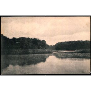 Bondedammen - Ludvig Christensen 442