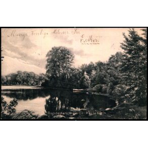 Bondedammen i Helleb&aelig;k - C. St. 3418