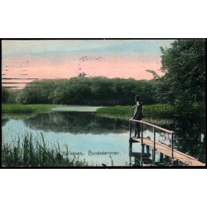 Helleb&aelig;k - Bondedammen - Stender 6348