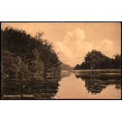 Bondedammen - Helleb&aelig;k - J.M. 252