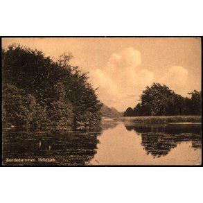 Bondedammen - Helleb&aelig;k - J.M. 252