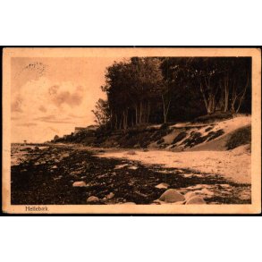 Helleb&aelig;k - Alex Vincent 802