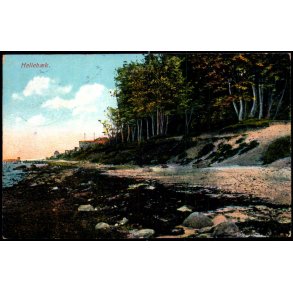 Helleb&aelig;k - C.F. 532