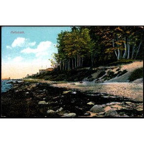 Helleb&aelig;k - C.F. 532